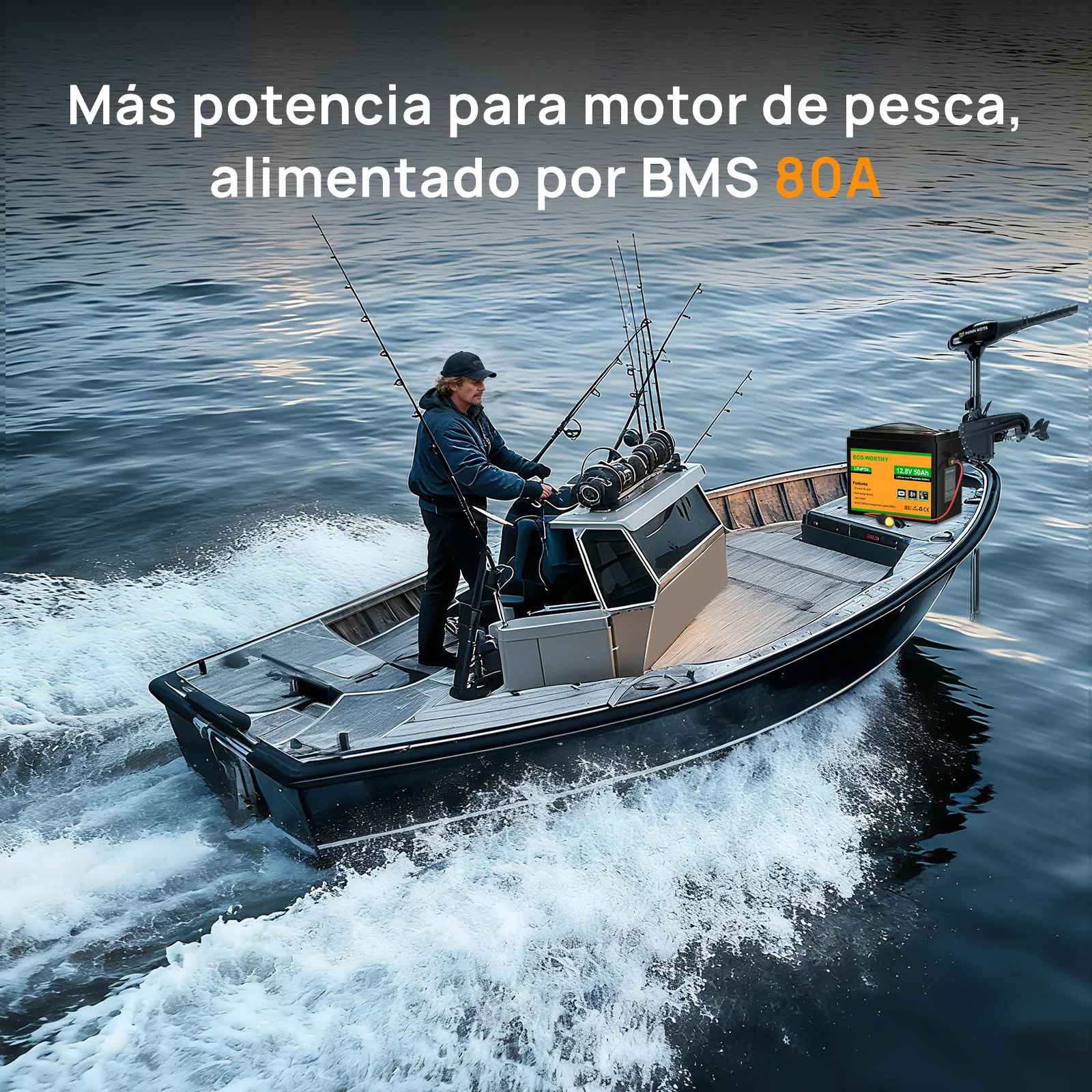 Batería Litio LiFePO4 12V 50Ah - Image 8